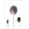 Organic Beige – abstrakt kunstplakat af Mette Handberg, organiske former i varme beige toner
