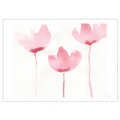 Water Lilies kunstplakat af Mette Handberg